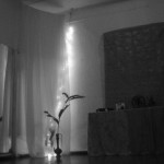 LUZ  foto Nati