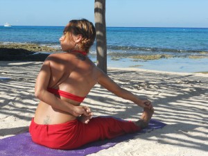 DIFERENTES MÉTODOS :Ashtanga/ Kundalini / Integral Yoga / Sports Yoga/ Yogateraphy and more
